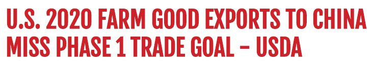 黄金外汇平台解读我们何时才有自己的外汇平台?国外库存费太高吗?